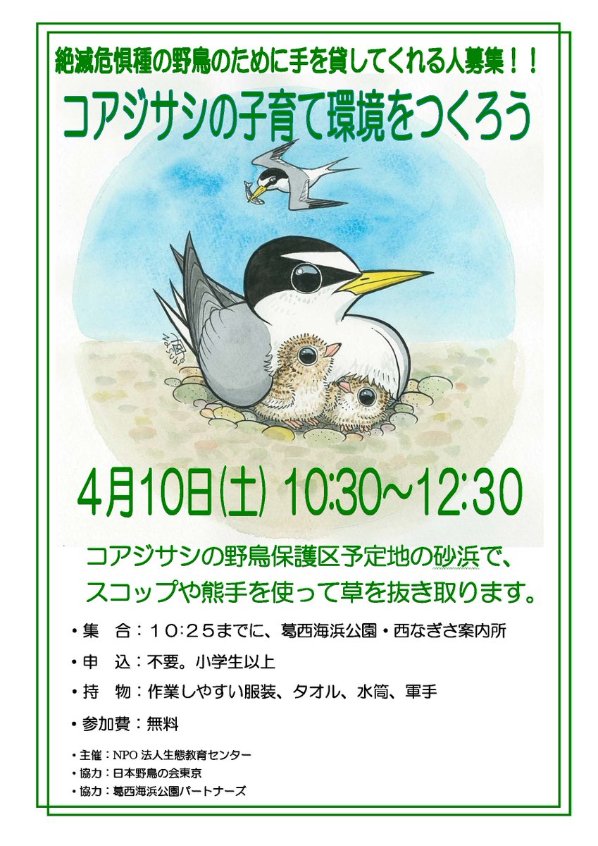 葛西臨海公園鳥類園スタッフ 4月10日 土 は葛西海浜公園 西なぎさで 絶滅危惧種のコアジサシやシロチドリの子育て環境をつくる草を抜きイベントを実施します Ye 8 E 草を根っこから抜く シンプルな作業内容です 皆様のご参加お待ちしております 葛西臨海公園鳥類園スタッフ 4月10日 土 は葛西海浜公園 西なぎさで 絶滅危惧種のコアジサシやシロチドリの子育て環境をつくる草を抜きイベントを実施します Ye 8 E 草を根っこから抜く シンプルな作業内容です 皆様のご参加お待ちしております