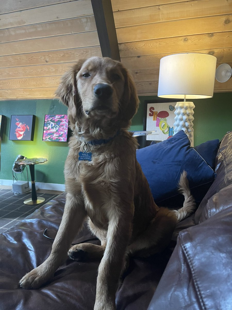 ipstirling (@ipstirling) on Twitter photo 