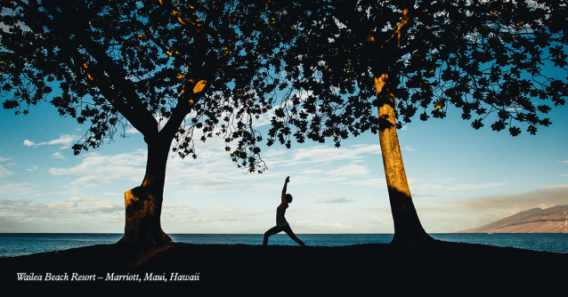 bhaskar27jb's tweet photo. Marriott Bonvoy shares the hotels our members have redeemed their points on most, like the Wailea Beach Resort #teammarriott https://t.co/Iaq4TEbdCg https://t.co/5SoRvG8jPc