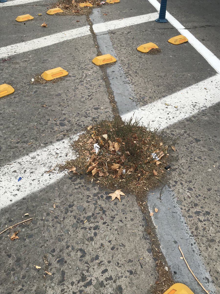 María Elizabeth Cava (cava_elizabeth) Twitter