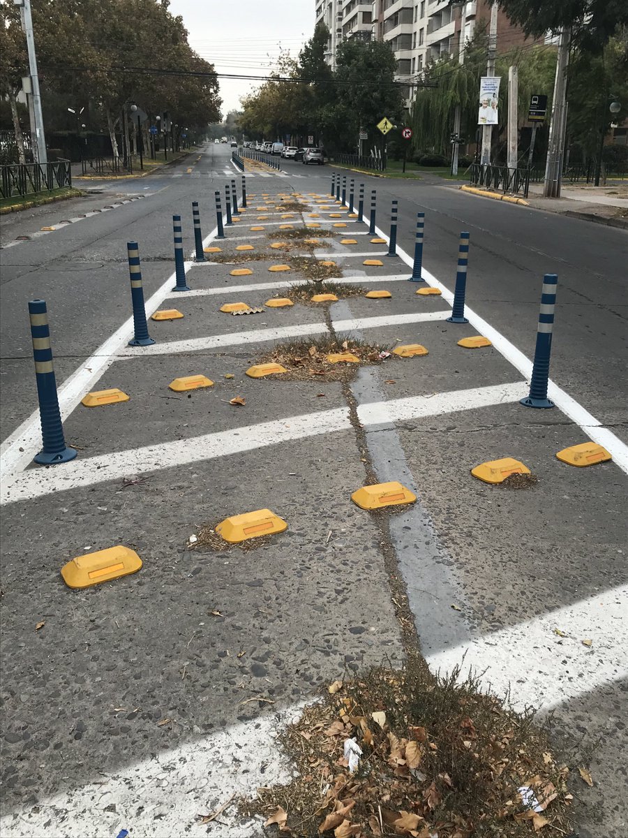 María Elizabeth Cava (cava_elizabeth) Twitter