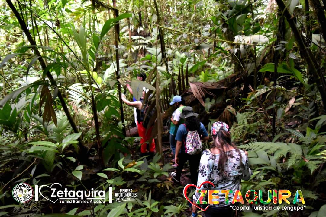 AlcZetaquira's tweet photo. RECONOCIMIENTO DE RUTA SENDERISMO CASCADA LAS TINAJAS #EnamóratedeZetaquira #Turismo #Colombiatravel #BoyacáEsParaVivirla #Boyacá #Lengupá #Yovoy #naturaleza #Senderismo #WorldPlaces #TraveltheWorld #Agroturismo #Turismo #Watherfall #Cascada #naturaleza https://t.co/AaNLamK1Dr