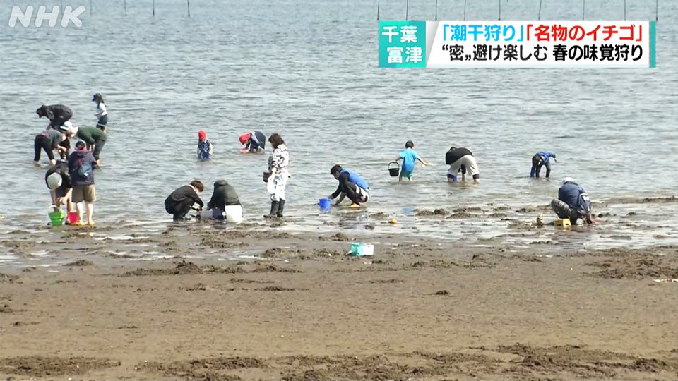 nhk千葉 ラッカ星人 東京湾に面した千葉県富津市で 潮干狩り場が再開されました アサリを見つけるコツや 魚介料理店の名物アサリフライを紹介します 新型コロナウイルスの感染に気をつけながら 春の味覚狩りを楽しんできました 千葉局リポーター nhk千葉 ラッカ星人 東京湾に面した千葉県富津市で 潮干狩り場が再開されました アサリを見つけるコツや 魚介料理店の名物アサリフライを紹介します 新型コロナウイルスの感染に気をつけながら 春の味覚狩りを楽しんできました 千葉局リポーター