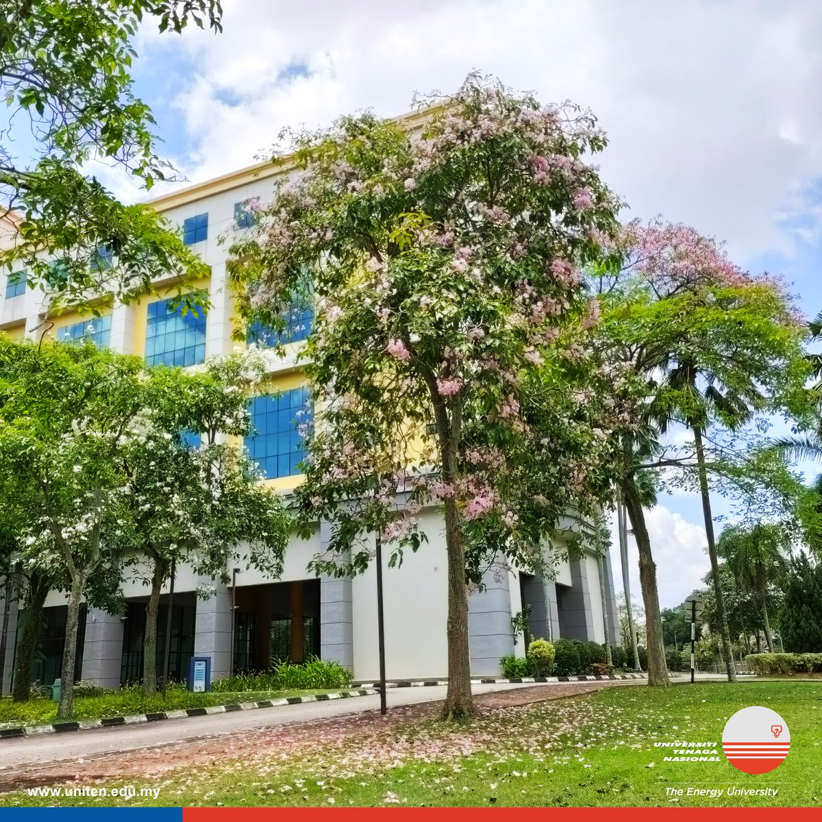 uniten's tweet image. &quot;A picture is worth a thousand words, but a memory is priceless&quot;
#sakuravibes #tecoma #CCIuniten #CSITuniten #COITuniten #KitaUNITEN