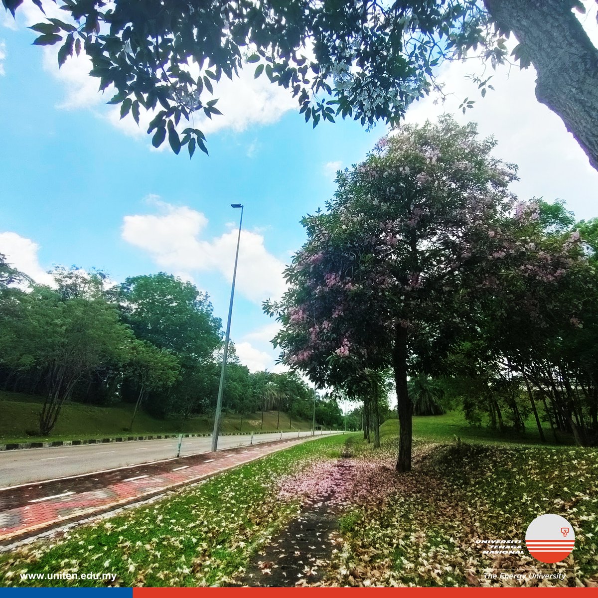 uniten's tweet image. &quot;A picture is worth a thousand words, but a memory is priceless&quot;
#sakuravibes #tecoma #CCIuniten #CSITuniten #COITuniten #KitaUNITEN