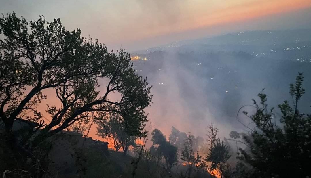 RamprakashMina's tweet photo. #Uttarakhand is witnessing unprecedented forest fires.
45forest fires in 24 hrs, Uttarakhand reaches out to Centre.
WITH OVER 1,000 incidents of forest fires.
In last 6months.
After #similipalforestfire
& #Bandhavgarhfires
This is a rapid &huge loss of pristine forests& wildlife. https://t.co/TkZSLE9gcA