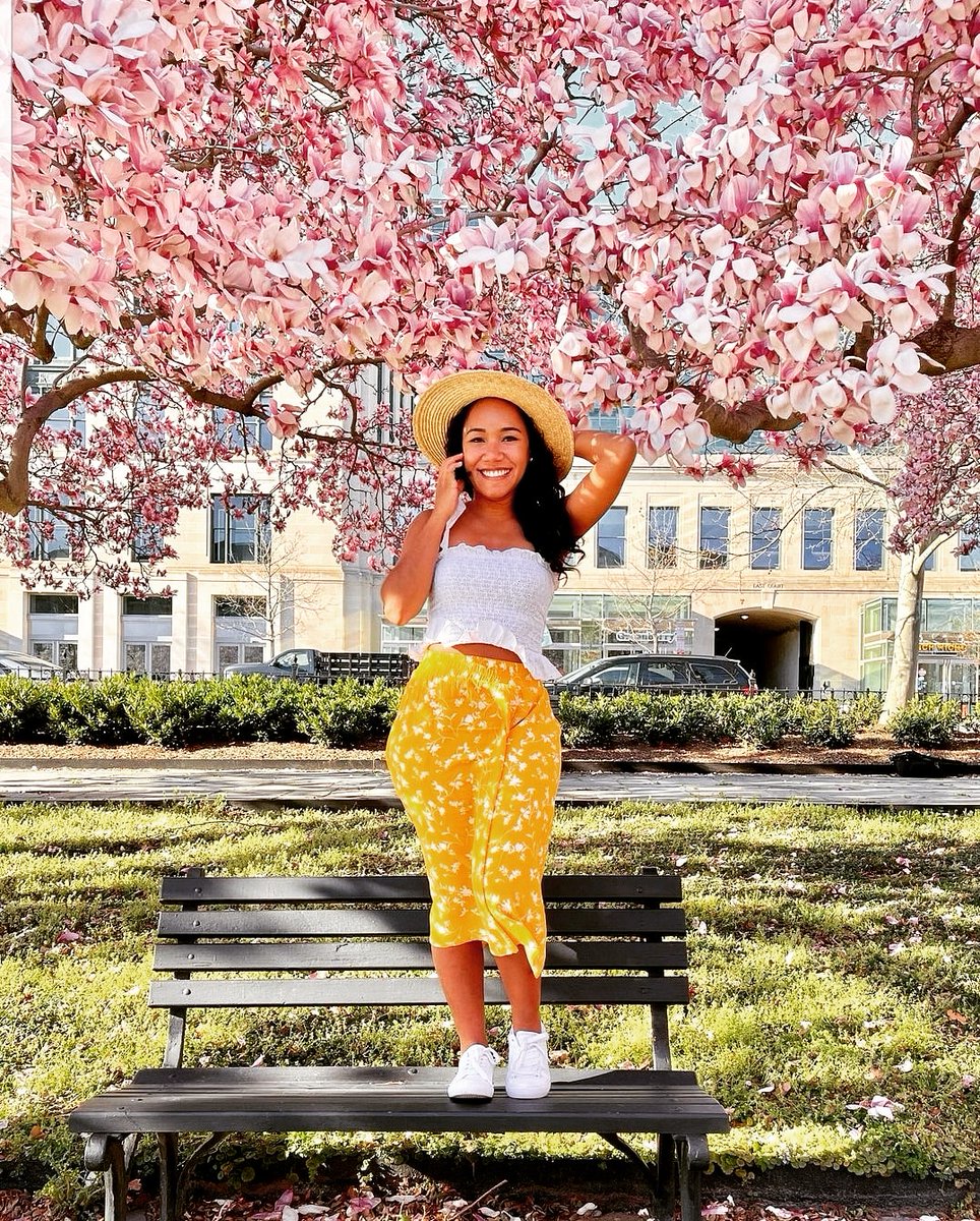 GirlieTravel's tweet photo. Hey Girlie we see you! #cherryblossom #washington #dc Pls visit https://t.co/NYpkYPNSGP for all your travel accessories 
#heygirlietravel #heygirlie #travelaccessories #petaccessories #sunvisorfaceshiel #tacticalpen #luggagetags #passportholder #cosmeticbag #geleyemask #travel https://t.co/I6eKZIkL1F