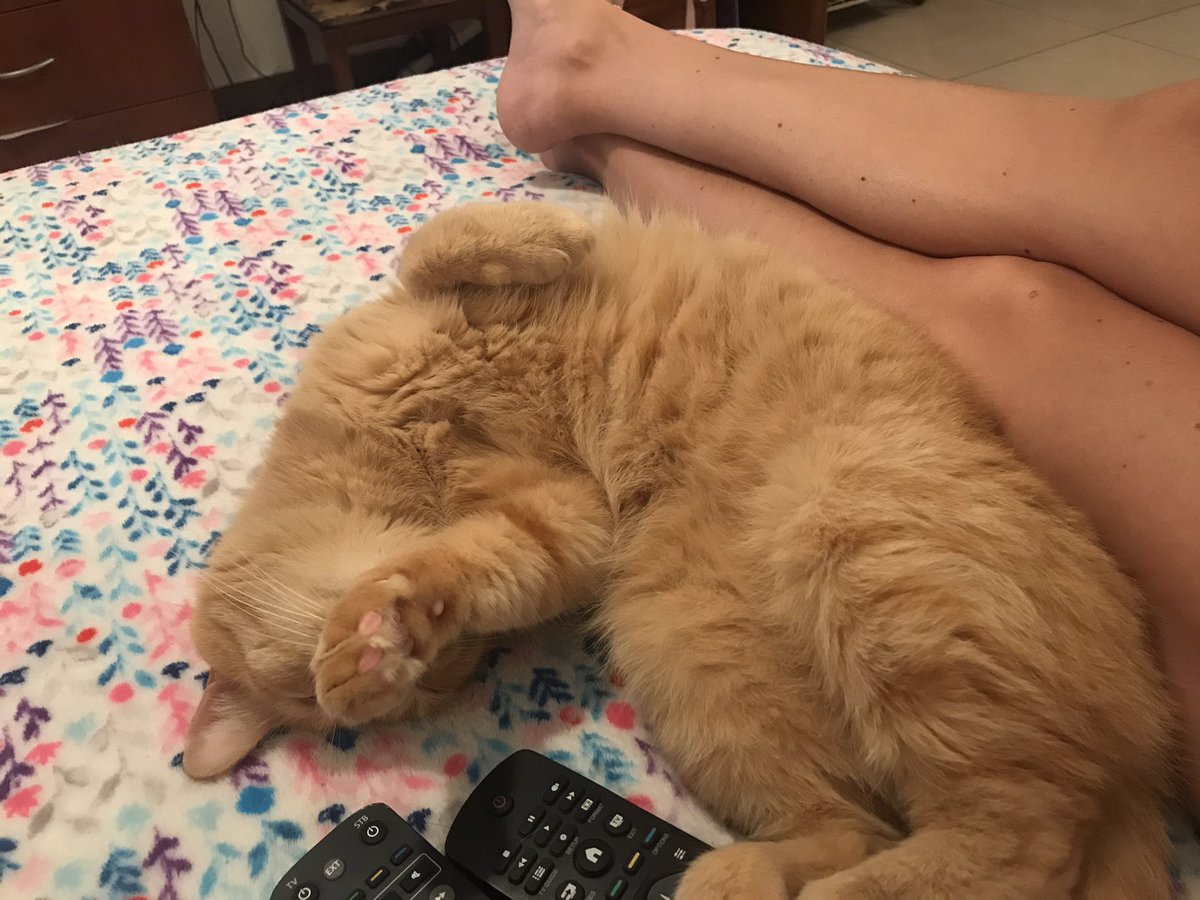 verisdt's tweet image. Re preocupado escuchando a #morla  😸🤔