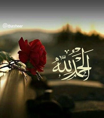 bentalsayed_'s tweet photo. الحمدُ لله لأن مجريات أمورنا بيده، تجريها حكمته، وتحوطها رحمته، الحمدُ له؛ لأنه ربُّنا، ولم يكلنا إلى ضعفنا ولا ضعف خلقِه، نحمدُه لأننا بين يديه، ولسنا في رجاء غيره
.. لأنه أغنى قلوبنا به عمّن سواه ..

•*🤍❤️ https://t.co/6nG4jm4LE7