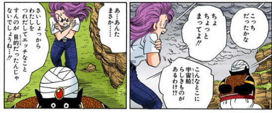 ドラゴンボールのブルマ名言セリフまとめ 声優交代でも心配ナシ 後任はあの人に ドラゴンボールプレス 名言集セリフ やキャラ アニメ 漫画解説ならお任せ