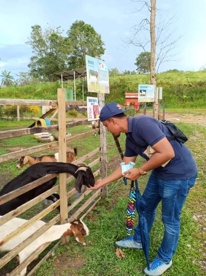 CattleQueenPark's tweet photo. Teringin nak rasa suasana kampung dan ladang? Selalu nampak kat tv jee🤔 eh korang tau tak kat kluang pun ada tempat gitu? Kat mana tu? Kat Cattle Queen Ruminant Park la😍

Seronok tau bole bagi haiwan makan, manja2, peluk2 haiwan kat sini. Sebab kat sini semua jinak2 tauuu🥰 https://t.co/gFTFicQutk