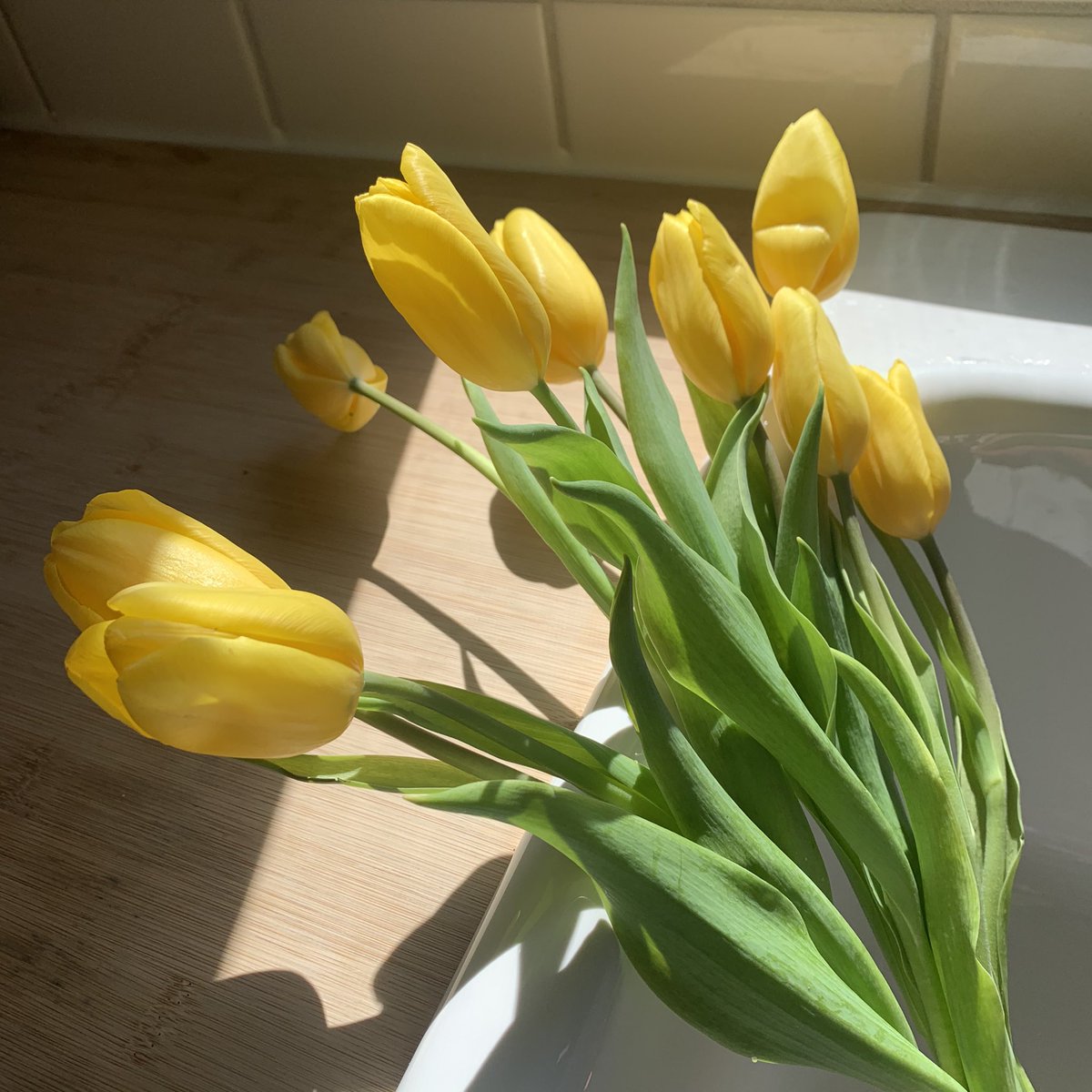 Let’s make this week a beautiful one! ☀️