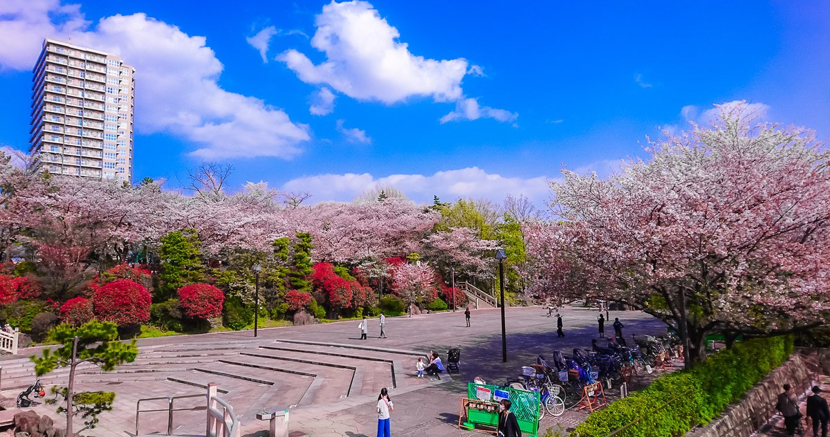lfitokyo's tweet photo. #SORTIEPÉDAGOGIQUE DE LA #SECTIONORIENTALE 4EME 🌸🌸🌸
Visite du quartier de #Takinogawa #Oji pour les collégiens japonophones du #LFITokyo à la recherche des "100 vues célèbres d'#Edo" sous les #Sakura en fleurs.
#UtagawaHiroshige
@aefeinfo
@AEFEAP
@ambafrancejp
@FLTfapee https://t.co/6ShLT6XLy5