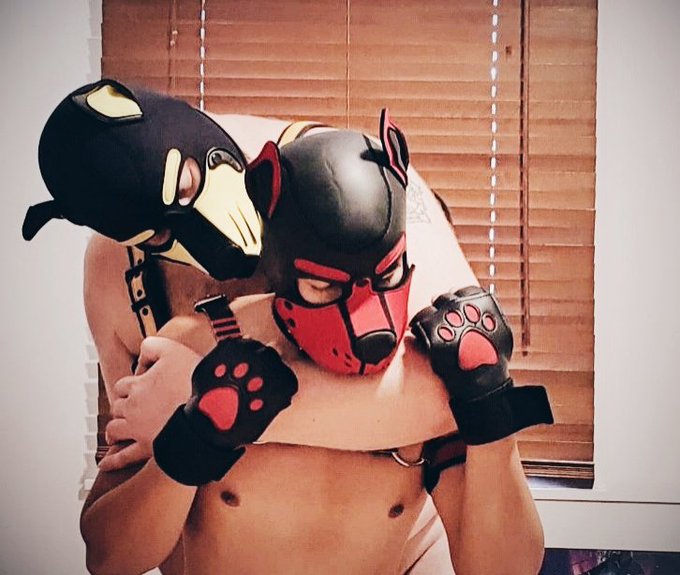 Just a little teaser for a video. RT if ya wanna see this pup get railed! SPOILERS: It's hot as heck