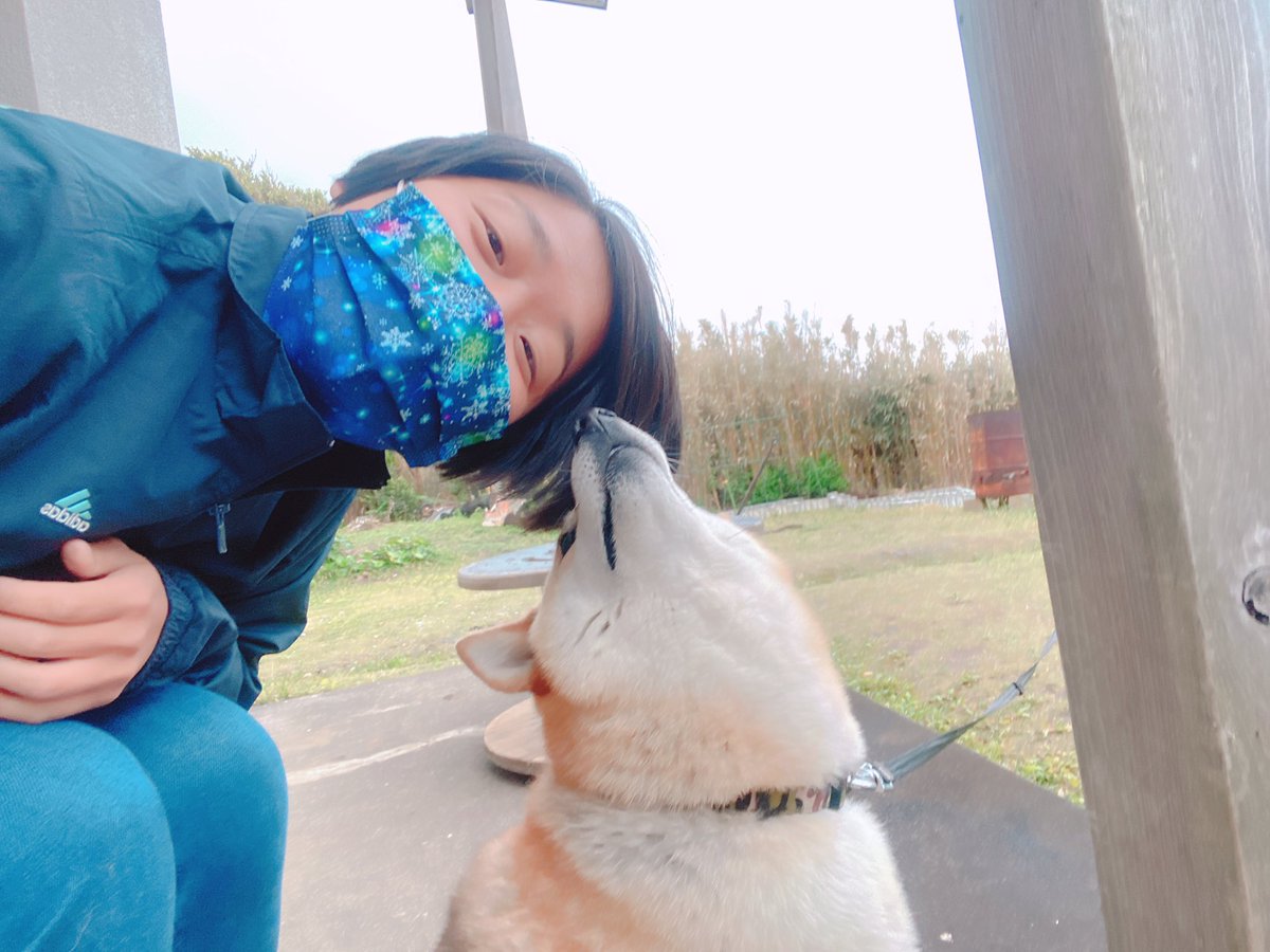 tmoykt's tweet photo. ▹▸続き

自由に出入りできる教習所
みたいなところがあってねぇ。
ひっさしぶりに運転した🙌🤣💦
思ったよりはいけた🤣👍✨

んで、彼氏できました🐕☺️
いい顔してんだよなぁ♡🤣w

#三宅島 #g2cafe #映え #飯テロ
#三宅村交通公園 #玉鹿の挑戦
#彼氏できました #柴犬
#ワンエムジー #玉鹿の自撮り https://t.co/ifo7D4IToN