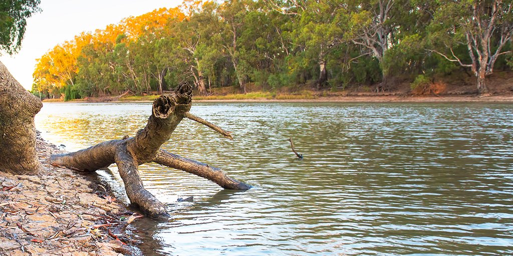 indigenous_gov's tweet photo. How can Indigenous Rangers in the Murray-Darling Basin contribute to waterway health across the Basin? Apply now for the Murray-Darling Basin Indigenous River Rangers Program to find out!

Applications close 18 May.

https://t.co/TgHbuskVsc

#IndigenousRangers #MurrayDarlingBasin https://t.co/FUpFVAVcm7