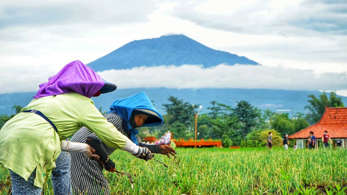 Tidak ada bosannya dan selalu terasa keindahannya bila memperhatikan aktifitas petani dg latar belakang pegunungan.Sepiring nasi pecel berlipat2 kenikmatannya bila disantap sambil menikmati pemandangan alam indah dan luas,monggo dulur-dulur sarapan di <a href="/nkcafemalang/">nkcafemalang</a> yuk