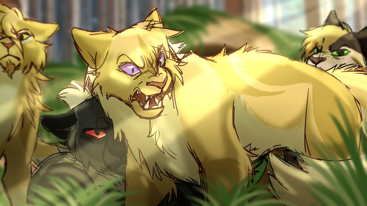 Place of no stars out tomorrow #warriorcats (Rootspring and Shadowsight in ...