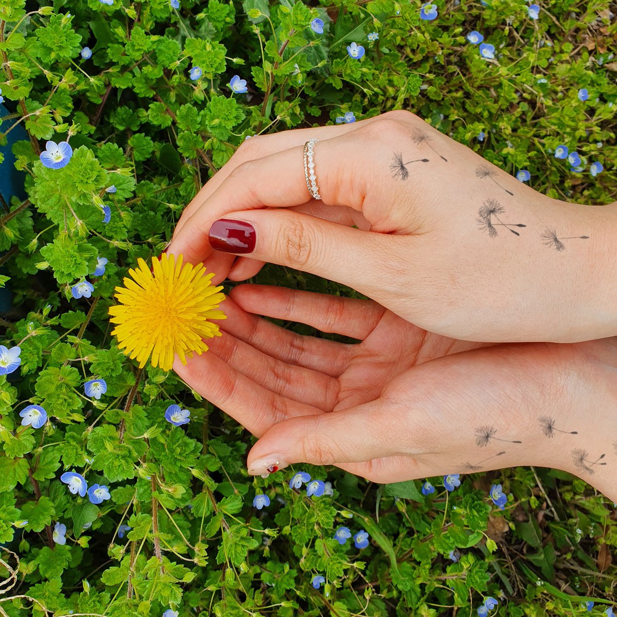 prinkerofficial's tweet photo. It was said that if you make a wish while blowing out the puffball part of a Dandelion, that wish will come true. We'd put a twist to that and have a Dandelion design prinked on us instead 😎 Happy Weekend, peeps! 

#Prinker #coloryourway #1sectattoo #spring #dandelion https://t.co/rb8xSUlx5O
