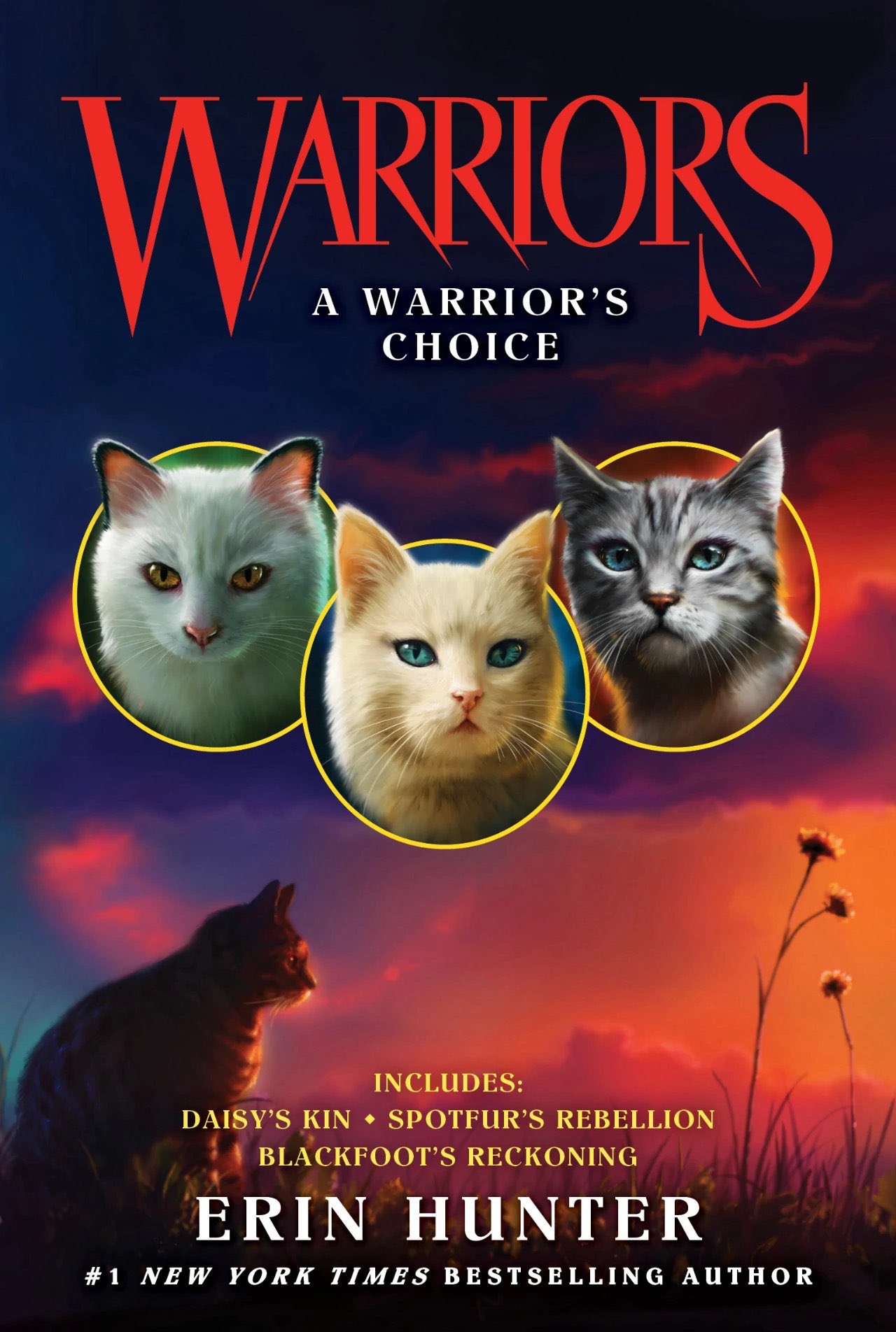 Warrior Cats Mews on X: The first three The Broken Code books in the  Chinese new style.  / X