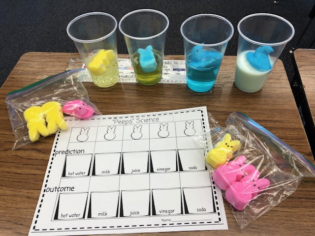 fancyteachingu's tweet image. It&apos;s been a roller coaster school year but I love my kiddos. We did Peeps Science and they absolutely loved it! #firstgraders #teachingrocks #elementaryscience