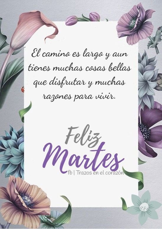buenos dias feliz martes positivo Imágenes \ Mari Loli Pellón en Twitter
