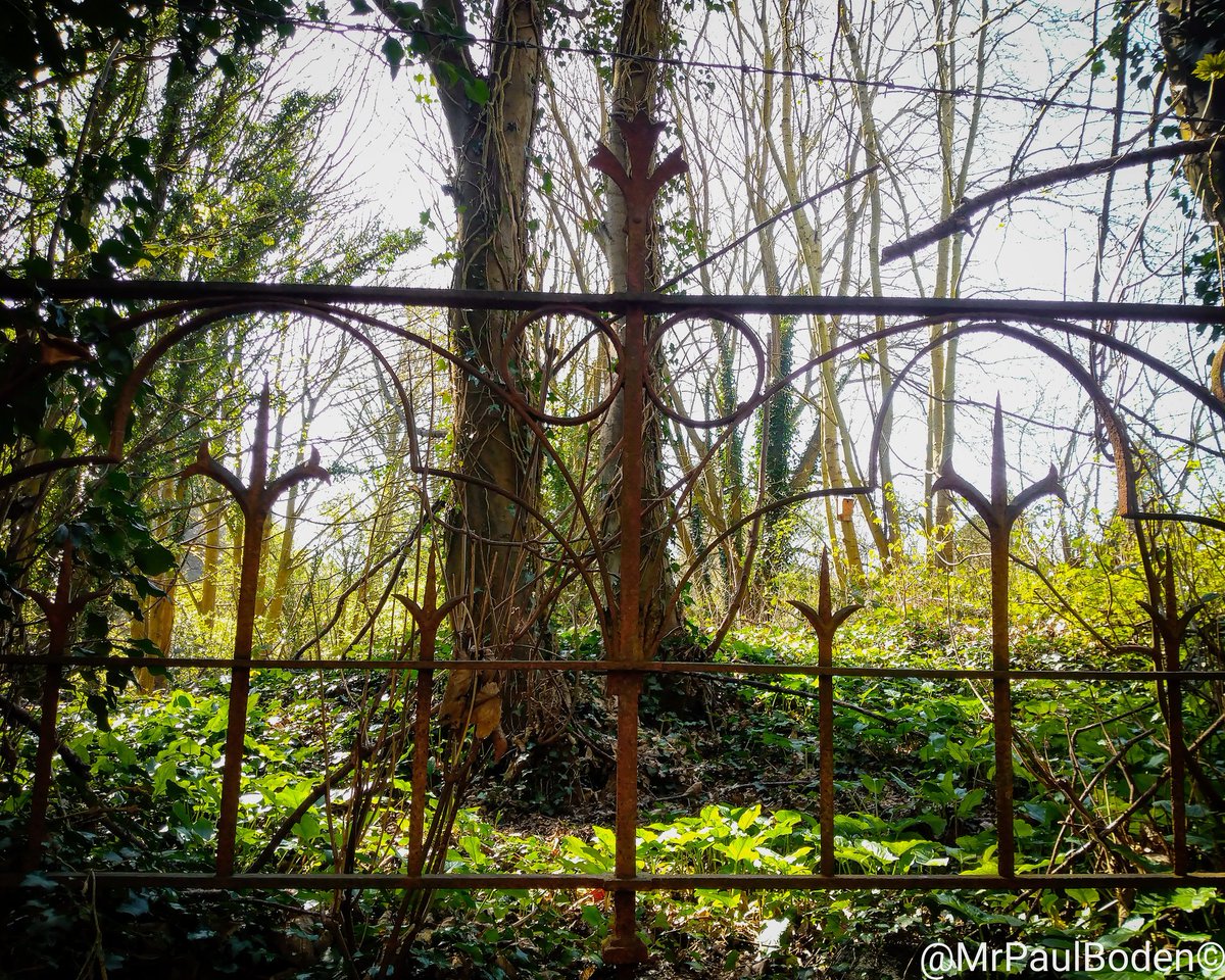 MrPaulBoden's tweet photo. Bartlett Boundary.
The original wrought iron fence/railings.
.
.
.
#bartlettgarden #wroughtiron #wroughtironrailings #wroughtironfence #bartlettboundary #rustymetal #rustyrailing #rustyfence #madeleycommunityorchard
#madeleycommunity #madeley #orchard #stmichaelschurchmadeley https://t.co/lTd2mMpqrH