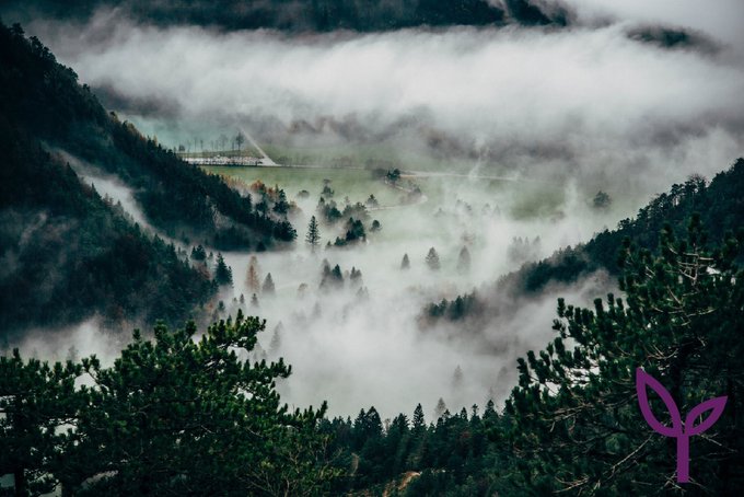 ConsultingAcs's tweet photo. If you’re struggling with tree management or planning, our team of qualified consultants strive to find the right solution for you. Call ACS today to receive our specialist advice: 01565755422 #treemanagement #planning #propertydevelopment https://t.co/Hy7KxPSJQp