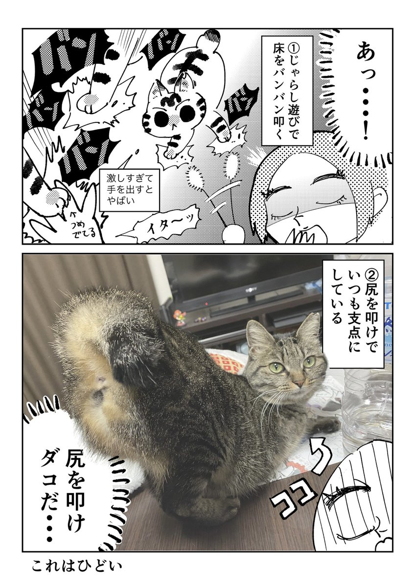 3本足のしじみちゃん124 