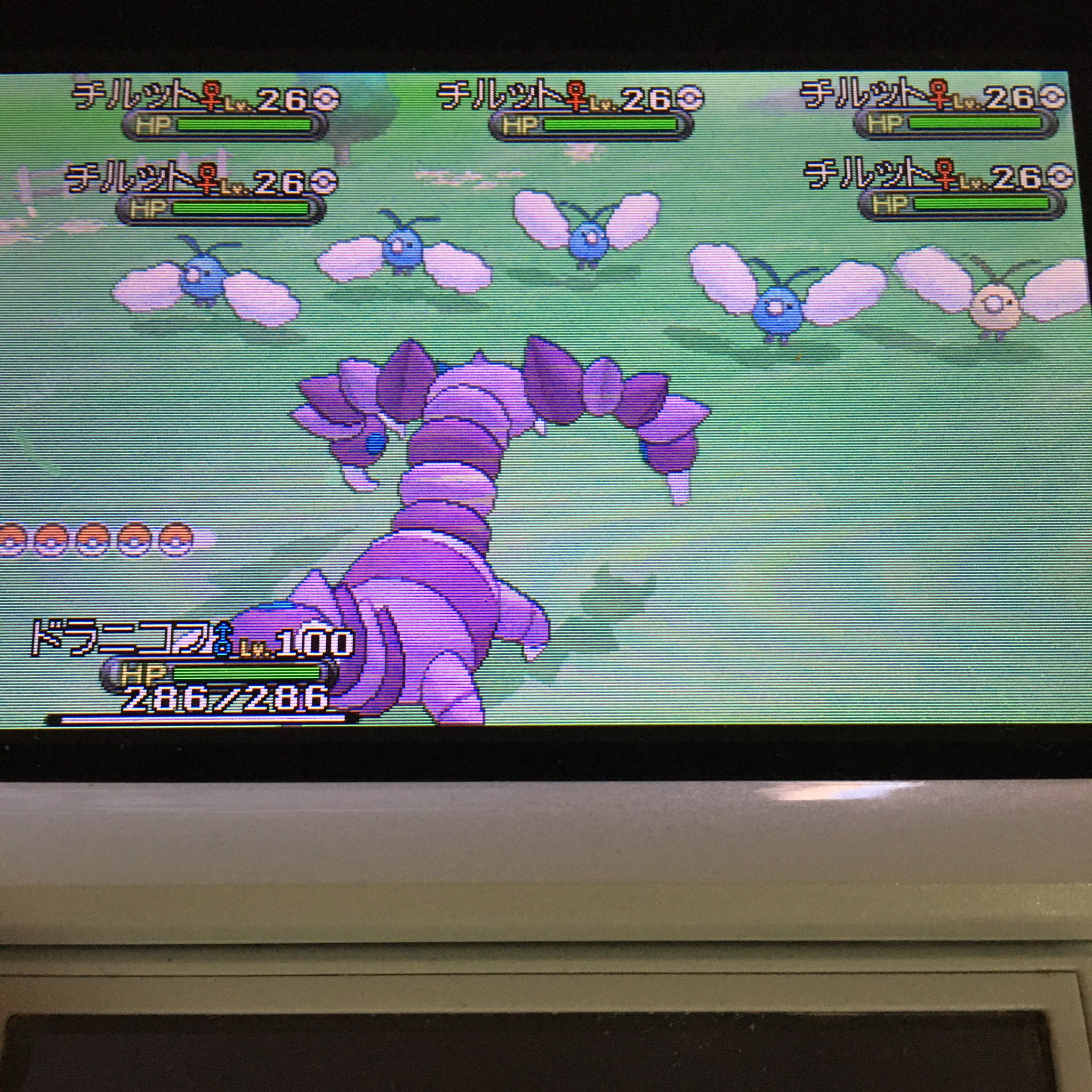 Hal318 群れバトルにて 色違いチルットgetだぜ 色違いポケモン Shinypokemon ポケモンxy ポケモン 群れバトル チルット ポケモン好きな人と繋がりたい T Co Tmxcotiw6p Twitter