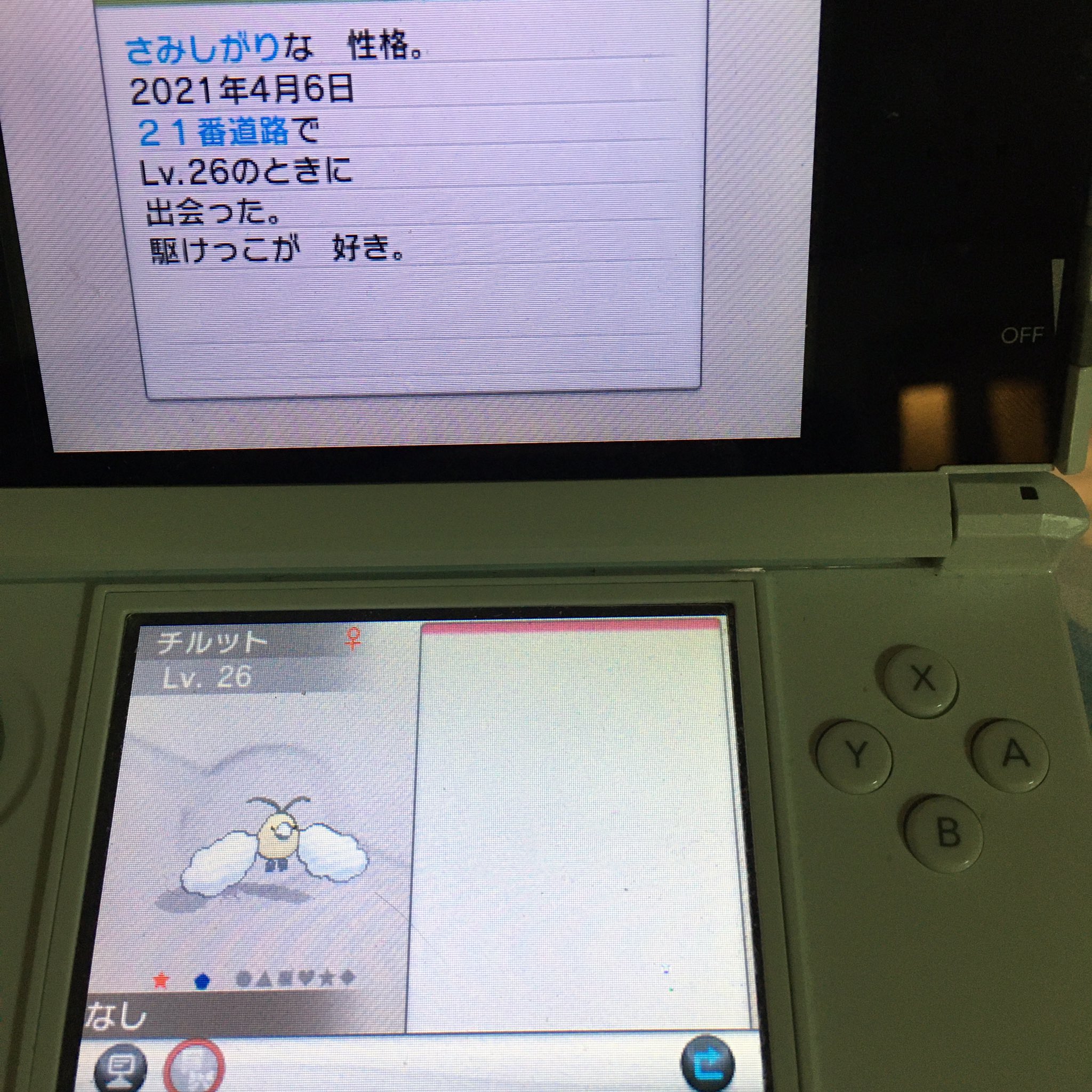 تويتر Hal318 على تويتر 群れバトルにて 色違いチルットgetだぜ 色違いポケモン Shinypokemon ポケモンxy ポケモン 群れバトル チルット ポケモン好きな人と繋がりたい T Co Tmxcotiw6p