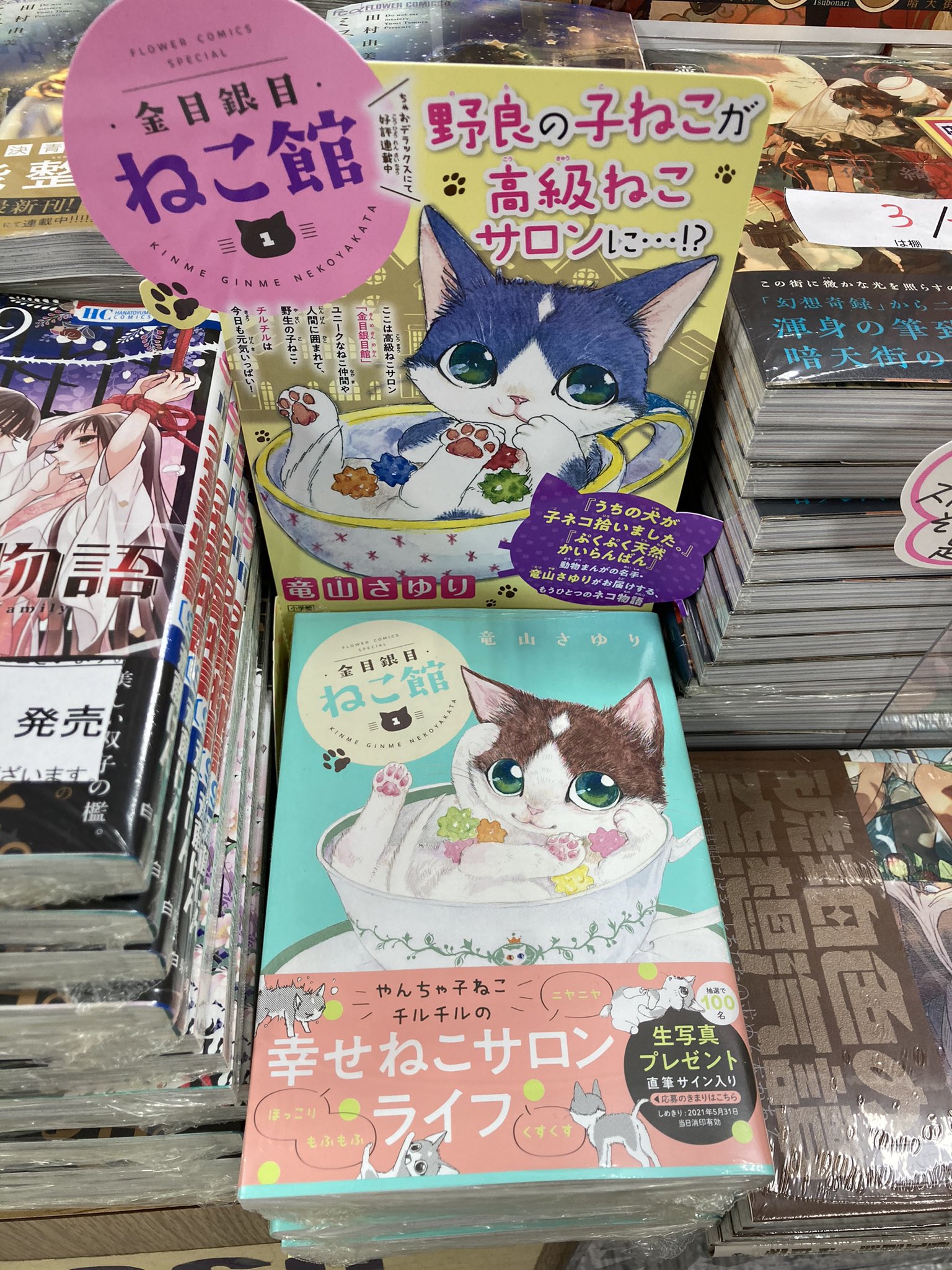 鬼瓦レッド あけおめ ことよろ 竜山さゆり 先生の新刊 金目銀目ねこ館 に販売台を付けてみたら可愛さが倍増したー ちゃおコミックス 明正堂アトレ上野店 T Co Lmffmhejoy Twitter