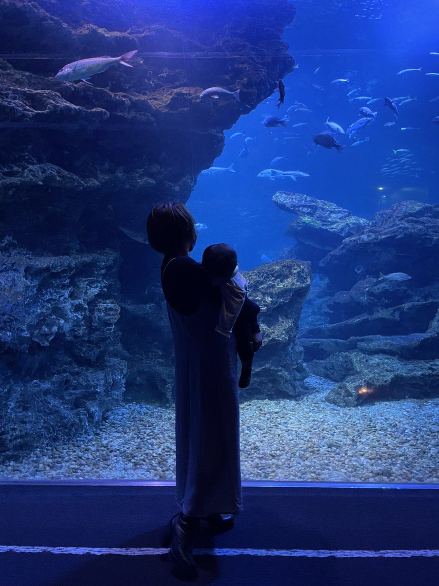 juritan31's tweet photo. #京都水族館 https://t.co/QRh0p9euEF
