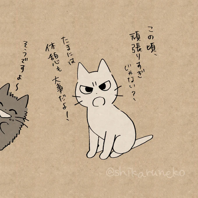 頑張る人と、しかるねこと、あまやかすねこ#ビスケットサンド #しっとりビスケット # 