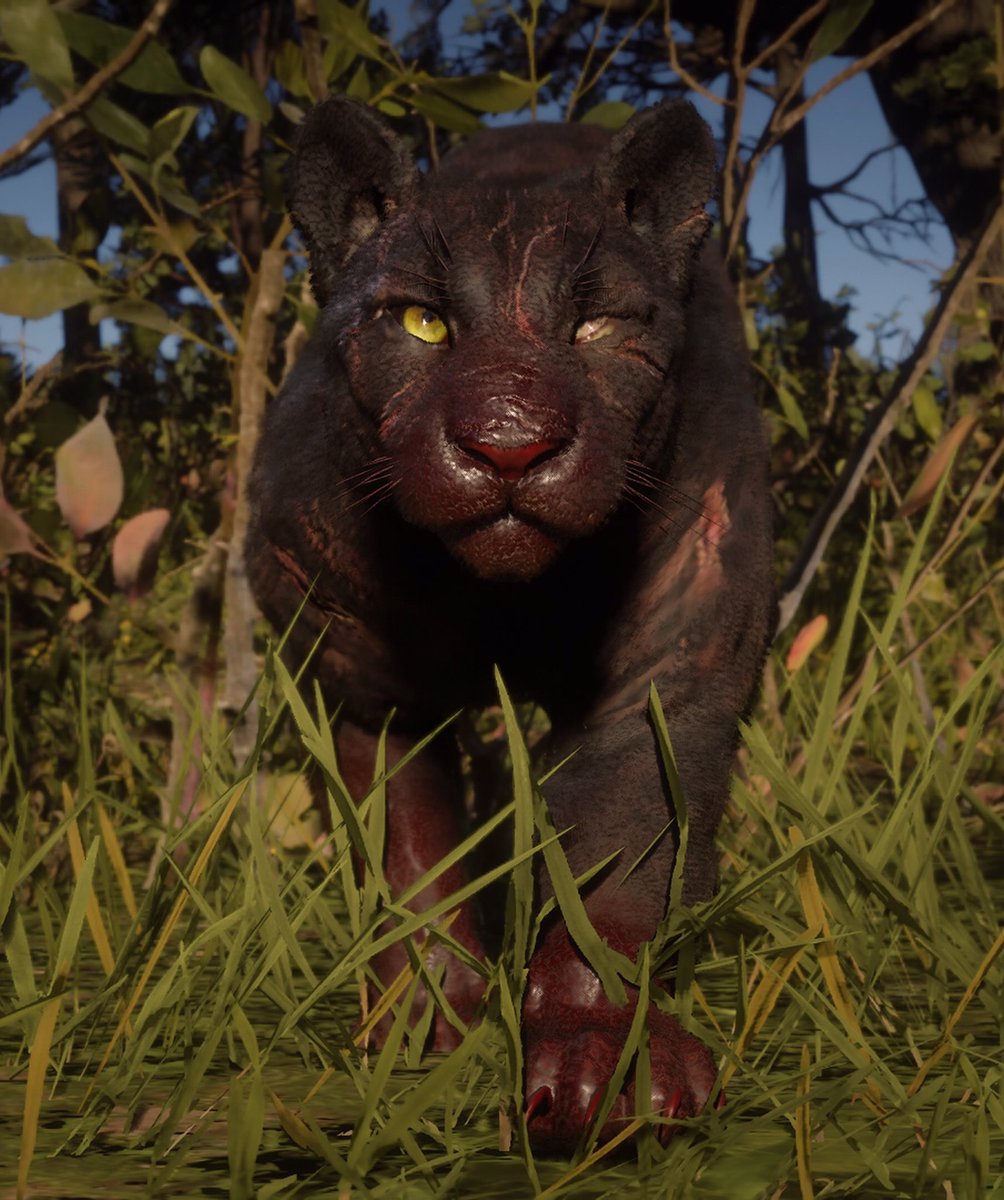 BeardedGibbon's tweet photo. The Legendary Giaguaro Panther and The Legendary Black Cougar 

#RedDeadRedemption2 #RDR2 #RockstarGames #VGPUnite #VPGamers #GamerGram #SocietyOfVirtualPhotographers #RedDeadPlanet https://t.co/Glje6Di0eb