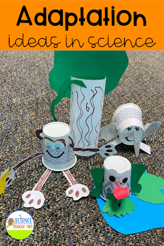 k5sciencegal's tweet photo. Adaptation Lesson Ideas For Primary Scientists https://t.co/mTqw2Fsb1v https://t.co/TGkwcWLORi