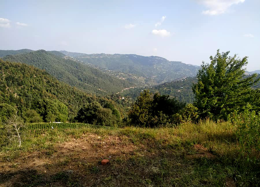 Mukteshwar_'s tweet photo. Mukteshwar is a small but very beautiful Himalayan Town in @Nainital District

#Mukteshwar is rich in scenic beauty &amp; famous for its Himalayan Range
Green Valley View
Apples
Apricot 
Plums
Oak  Rhododendron Forest

#मुक्तेश्वर #Nainital #Uttarakhand #NainitalTourism #Himalayas https://t.co/fmSp1tDZcF