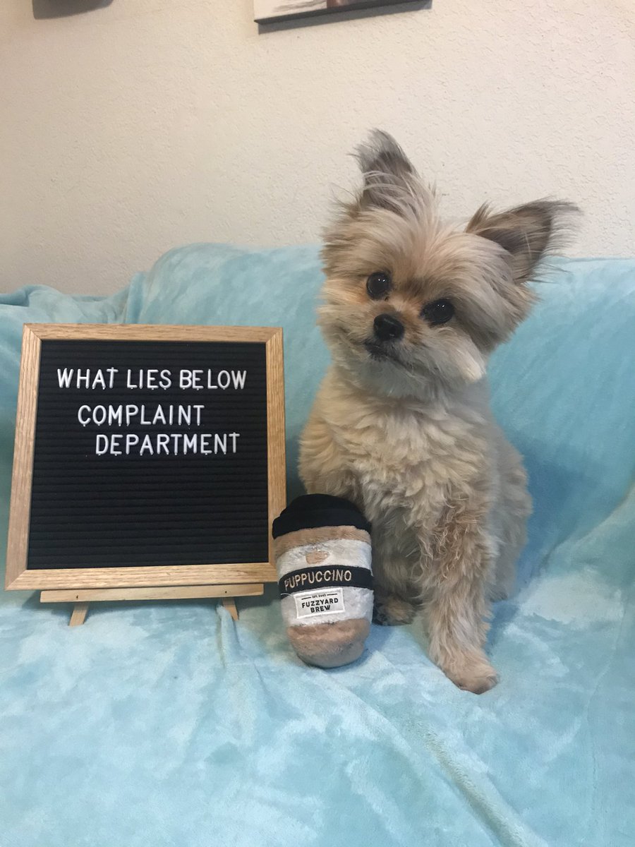 Dad is taking a break from the hate mail. Gizmo is filling in. #whatliesbelow #happyendingsnotguaranteed