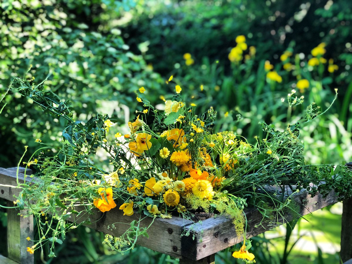 Just lay back - Relaxe and Imagine the sound of Bumble bees with there heads in the flowers , busy working / licking all the taste pollen .
Birds singing all day long ...... Soon it will be here and energies you with natural vitamins - Feeding your hungry soul ..........