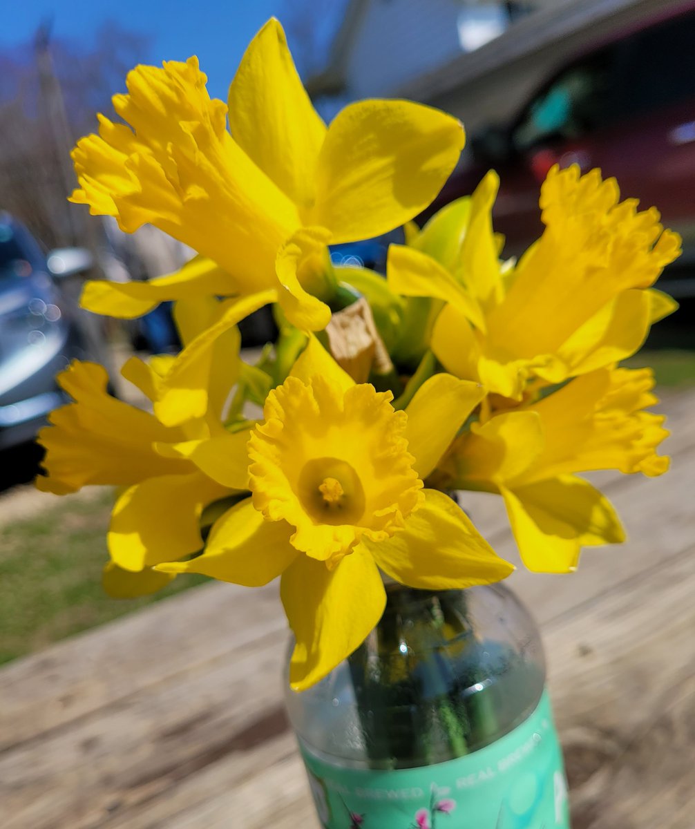 HLGPhotos's tweet photo. A reminder for all of us to stop & smell the #flowers. What a beautiful #Easter Sunday with family. 🌷🌷#MissMadison #EasterSunday https://t.co/60U7lqNvYt