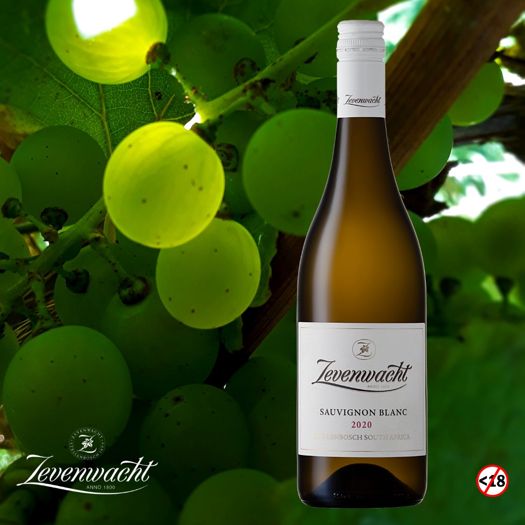 ZevenwachtWines's tweet photo. The Zevenwacht Estate Sauvignon Blanc is an elegant wine showing elderflower, green fig, and gooseberry on the nose, that opens up to passion fruit and grapefruit with a hint of greener notes.
#stellenbosch #panelselected #wine #wineofthemonth @WotMSA https://t.co/cBaHPa89i0