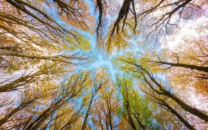 Using creativity and "coopetition" to turn waste materials back into resources is a key concept in the effort to accelerate circularity in the tech industry. bit.ly/2PboWbF #Iwork4Dell