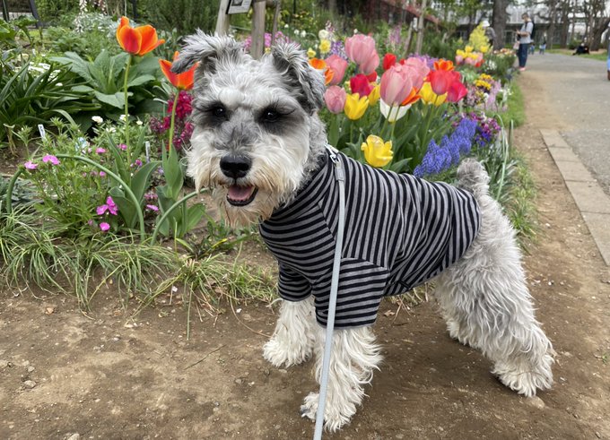 足が 高画質 のtwitterイラスト検索結果 古い順