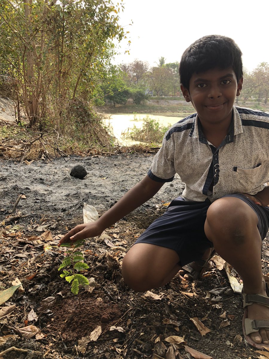 pnbalamurugan's tweet photo. 10 and 11 of 48 for #2treepermonth goal

Jamun and tamarind sapling nursed at our #terracegarden got planted at 
Dr. MGR park (Alavattam koil tank park), Sembakkam https://t.co/yVJXAIO3fA