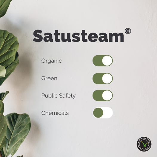 Weedtechnics's tweet photo. Chemicals introduced to your lawn, garden or farm can be harmful to your family and pets.  #Satusteam is a way to go! 
#satusteamtechnology #weedcontrol #chemicalfree #organicweedcontrol #organic #organicfood #organicfoodgrowers #horticulture #naturalweedkiller #weedwithspeed https://t.co/3KzLikk56r