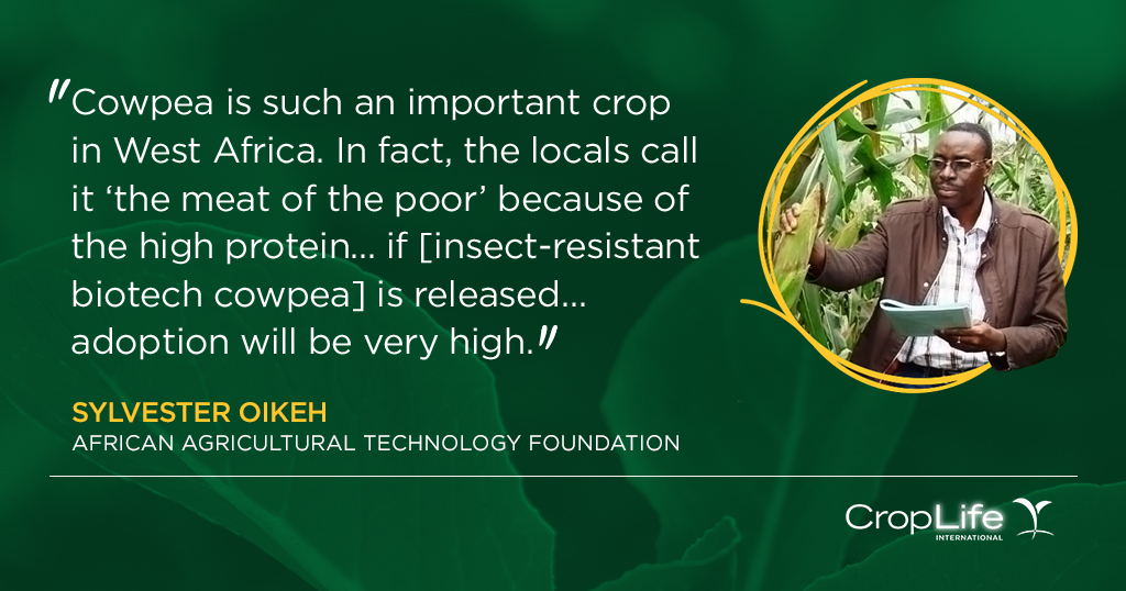 Did you know that more than 1 million children could be saved each year by breeding crops for enhanced nutritional content? Find out how plant breeding can help improve the health and lives of millions.