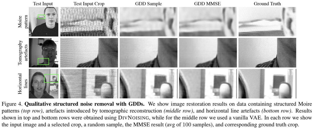 florianjug's tweet photo. In @Mangal_Prakash_’s latest work, we teamed up with @docmilanfar and @2ptmvd and show how Generative Diversity Denoising methods can not only lead to SOTA denoising results, but also used to remove spatial artifacts (e.g. in tomography)!#HDivNoising
https://t.co/adZfKHWhxP https://t.co/fWcnzWE2bM