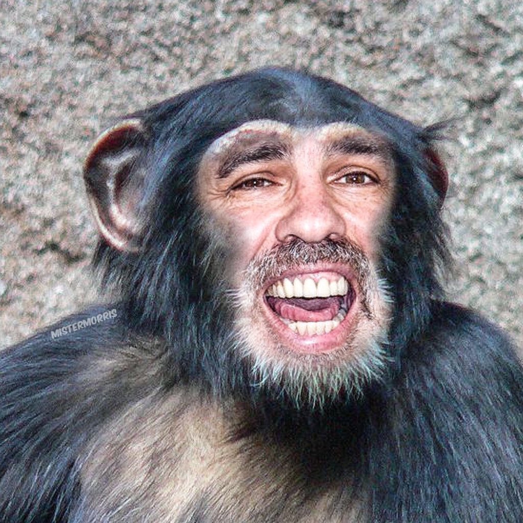 MichaelRapaport tweet media