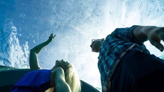 Identità Golose tweet media