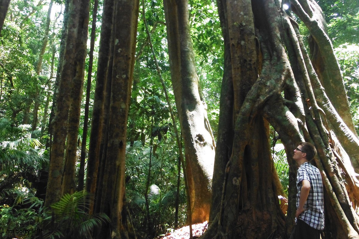 explorelaos tweet media